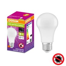 Ampoule antibactérienne LED A75 E27/10W/230V 4000K - Osram
