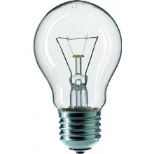 Ampoule industrielle CLEAR A55 E27/25W/240V
