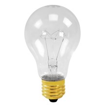 Ampoule industrielle E27/200W transparent