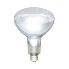 Ampoule infrarouge E27/250W/230V