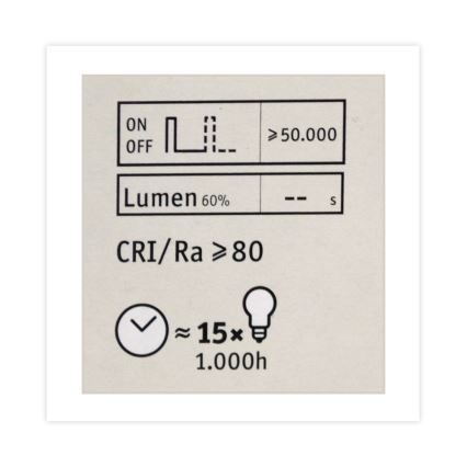 Ampoule LED à intensité variable CLASSIC G125 E27 / 4.5W / 230V 2600K - Paulmann 28742