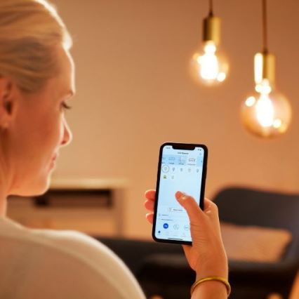 Ampoule LED à intensité variable FILAMENT G125 E27/7W/230V 2700-6500K CRI 90 Wi-Fi - WiZ