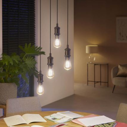 Ampoule LED à intensité variable Philips Hue WHITE AMBIANCE ST64 E27/7W/230V 2200-4500K