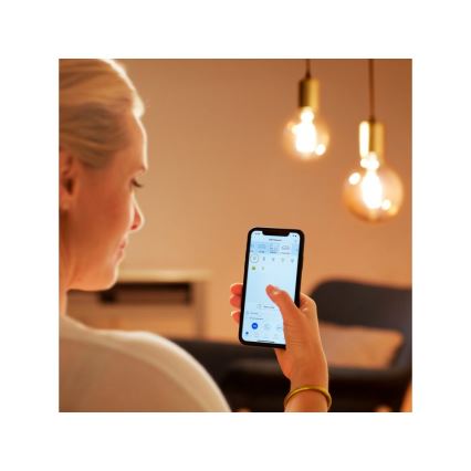 Ampoule LED à intensité variable VINTAGE FILAMENT G95 E27/6,7W/230V 2000-5000K CRI 90 Wi-Fi - WiZ