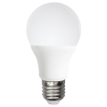 Ampoule LED A60 E27/12W/230V 6500K - Aigostar