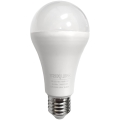 Ampoule LED A65 E27/18W/230V 2700K