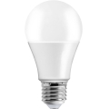 Ampoule LED A70 E27/17W/230V 6500K