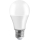 Ampoule LED A70 E27/17W/230V 6500K