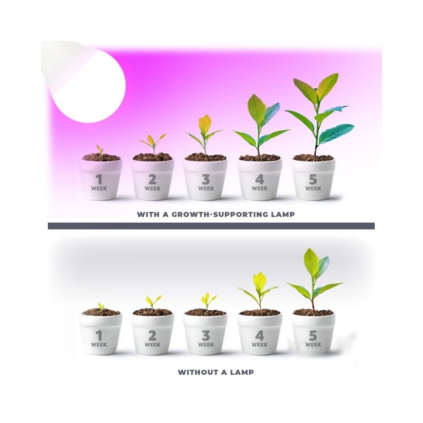 Ampoule LED pour croissance des plantes PLANTY E27/11W/230V 1200K blanc