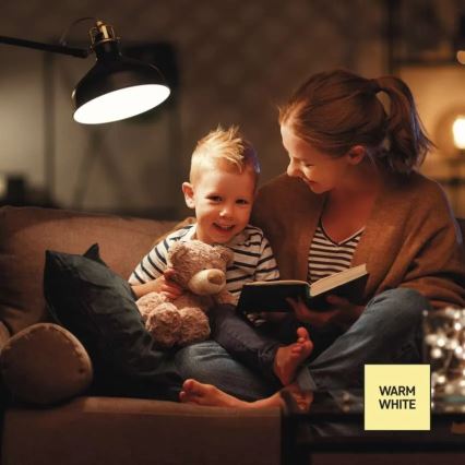 Ampoule LED dimmable A60 E27/10,5W/230V 2700K