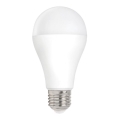 Ampoule LED E27/20W/230V 3000K