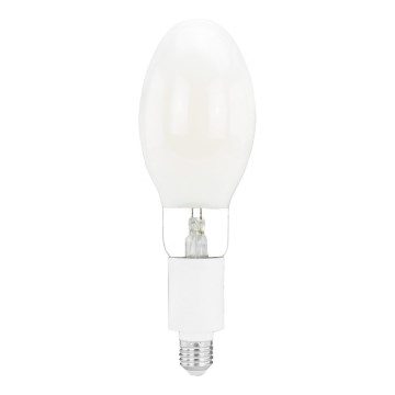 Ampoule LED E27/20W/230V 4000K