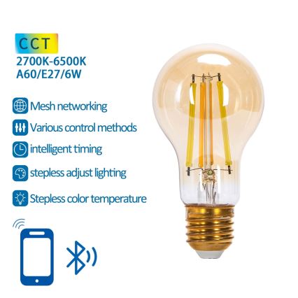 Ampoule à intensité variable LED FILAMENT MESH Smart A60 E27/6W/230V 2700-6500K - Aigostar