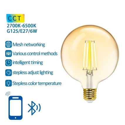 Ampoule à intensité variable LED FILAMENT MESH Smart G125 E27/6W/230V 2700-6500K - Aigostar