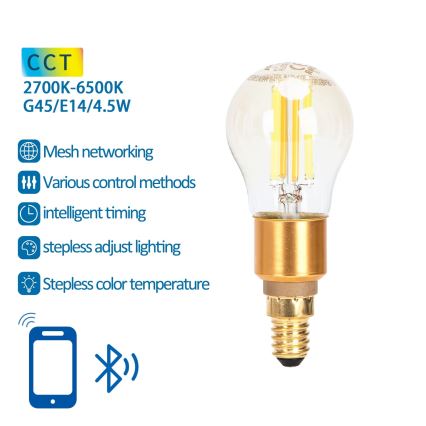 Ampoule à intensité variable LED FILAMENT MESH Smart G45 E14/4,5W/230V 2700-6500K - Aigostar