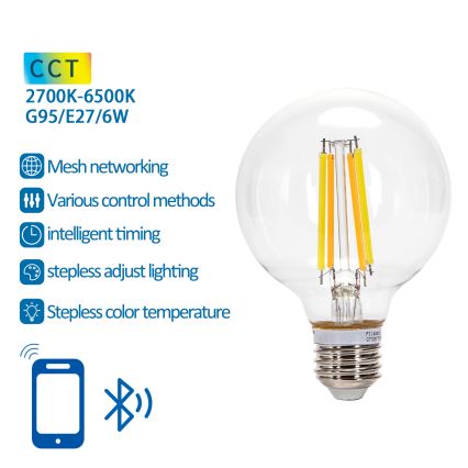 Ampoule à intensité variable LED FILAMENT MESH Smart G95 E27/6W/230V 2700-6500K - Aigostar