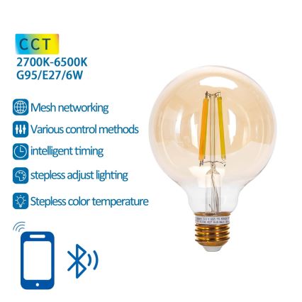 Ampoule à intensité variable LED FILAMENT MESH Smart G95 E27/6W/230V 2700-6500K - Aigostar