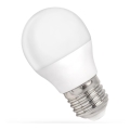 Ampoule LED G45 E27/4W/230V 6000K