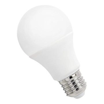Ampoule LED GLS A60 E27/4,9W/230V 6000K