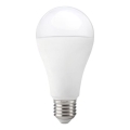 Ampoule LED GS E27/17W/230V 4000K