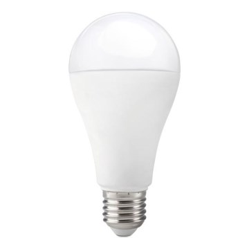 Ampoule LED GS E27/17W/230V 6500K