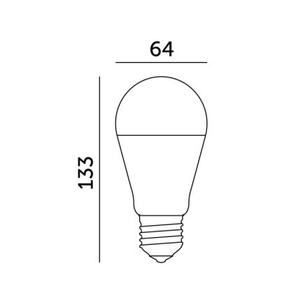 Ampoule LED GS E27/17W/230V 6500K