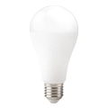 Ampoule LED GS E27/22W/230V 4000K