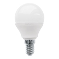 Ampoule LED P45, culot E14, 3 W, 230 V, 3000 K - Eglo 10819