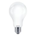 Ampoule LED Philips A67 E27/17,5W/230V 2700K