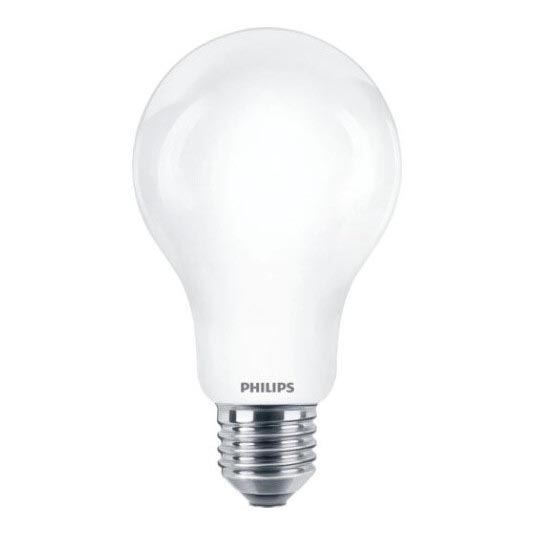 Ampoule LED Philips A67 E27/17,5W/230V 2700K