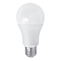 Ampoule LED PITT A60 AC/DC E27/12W/24V 4000K