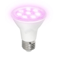 Ampoule LED pour croissance des plantes PLANTY E27/7W/230V 1200K blanc