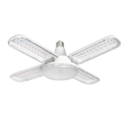 Ampoule LED pour la croissance des plantes VITABLOOM E27/40W/230V 1200K - Brilagi