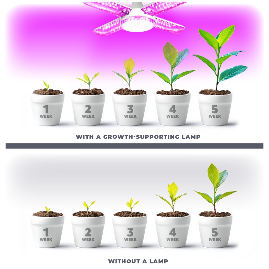 Ampoule LED pour la croissance des plantes VITABLOOM E27/40W/230V 1200K - Brilagi