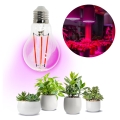 Ampoule LED pour la croissance des plantes VITABLOOM E27/8W/230V 1200K - Brilagi