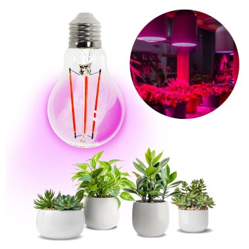 Ampoule LED pour la croissance des plantes VITABLOOM E27/8W/230V 1200K - Brilagi
