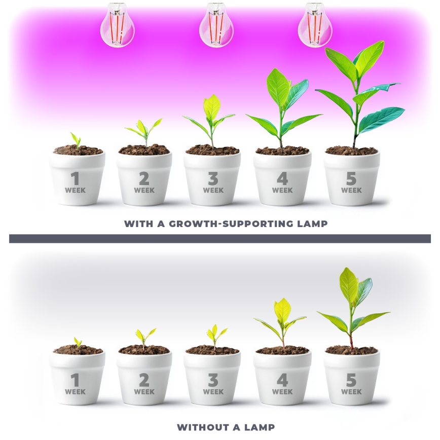 Ampoule LED pour la croissance des plantes VITABLOOM E27/8W/230V 1200K - Brilagi