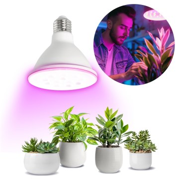 Ampoule LED pour la croissance des plantes VITABLOOM E27/9W/230V 1200K blanc - Brilagi