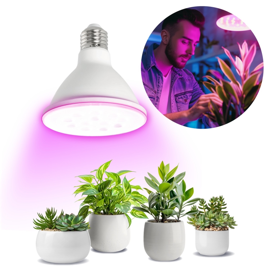 Ampoule LED pour la croissance des plantes VITABLOOM E27/9W/230V 1200K blanc - Brilagi