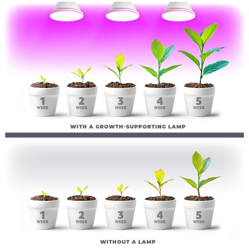 Ampoule LED pour la croissance des plantes VITABLOOM E27/9W/230V 1200K blanc - Brilagi