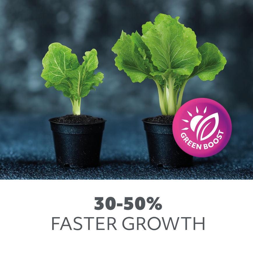 Ampoule LED pour la croissance des plantes VITABLOOM E27/9W/230V 1200K blanc - Brilagi