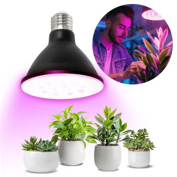 Ampoule LED pour la croissance des plantes VITABLOOM E27/9W/230V 1200K noir - Brilagi