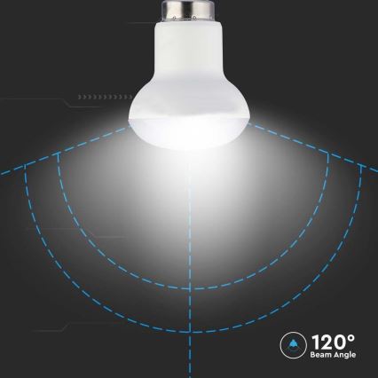Ampoule LED SAMSUNG CHIP R39 E14/2,9W/230V 6500K
