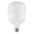 Ampoule LED T100 E27/30W/230V 6500K