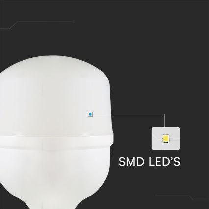 Ampoule LED T100 E27/30W/230V 6500K