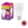 Antibacteriële LED Lamp A75 E27/10W/230V 4000K - Osram