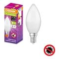 Antibacteriële LED Lamp B40 E14/4,9W/230V 4000K - Osram