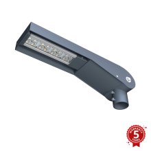 APLED - LED Straatlamp FLEXIBO PREMIUM LED/29W/90-265V IP65