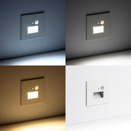 Luminaire LED d'escalier avec capteurs de mouvement et crépusculaire LED/1,5W/230V 3000/4000/6000K blanc