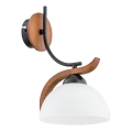 Applique murale BAFIA 1xE27/15W/230V marron
